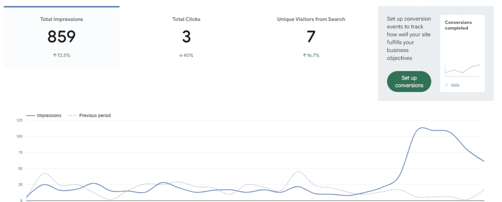 Google Site Kit performance report
