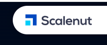 Scalenut.com