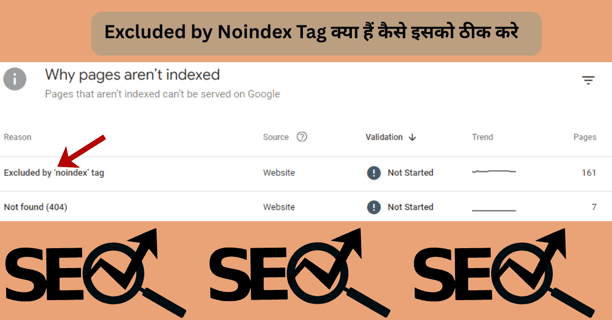 Excluded by Noindex Tag